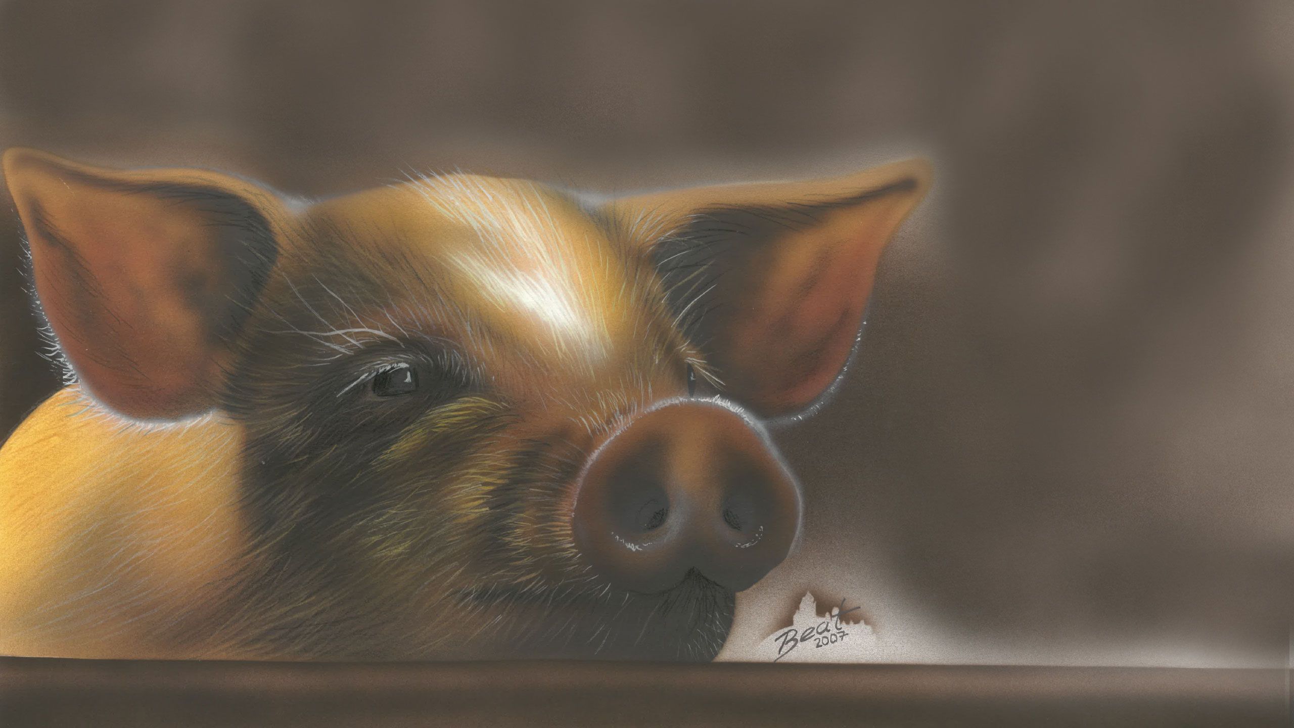 Schweine